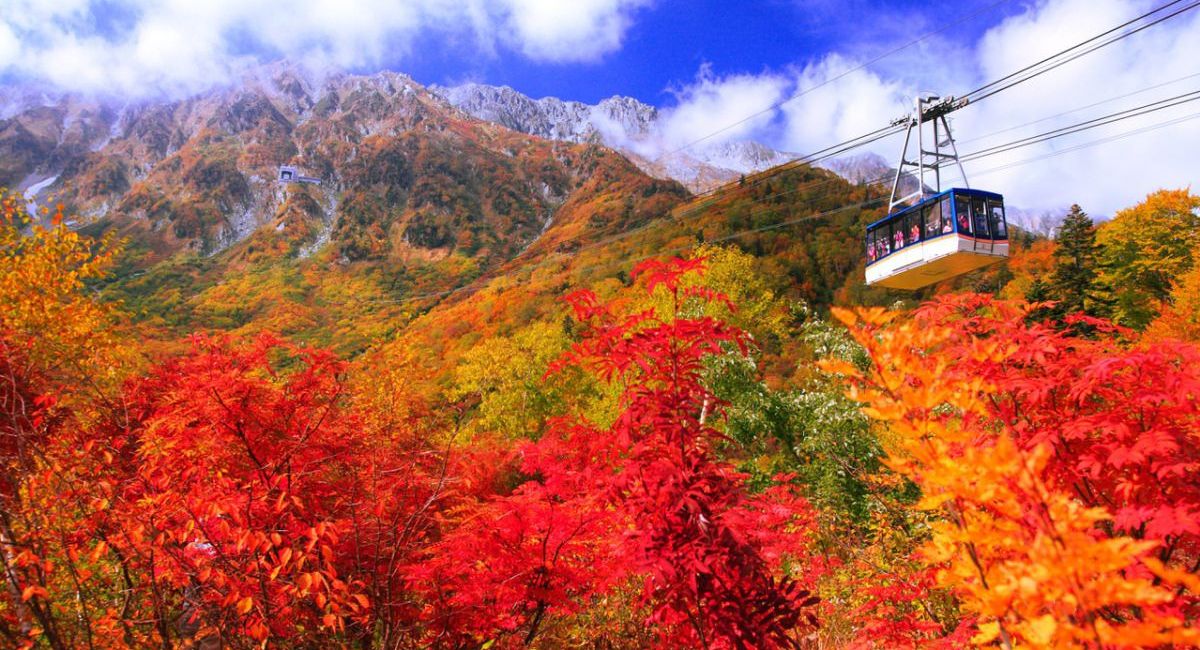[Tour mùa thu] TP.HCM//HÀ NỘI - ASAHIKAWA – SAPPORO – NOBORIBETSU – OTARU
